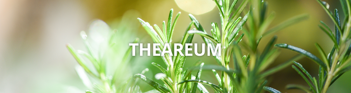 theareum